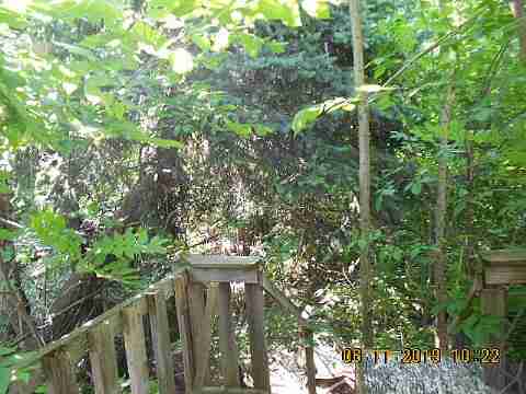 1671 Tyler (18)_m.jpg